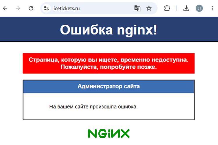 Из-за наплыва посетителей на сайте произошел технический сбой