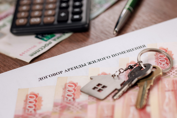 Сдачей жилья в аренду заняты 9,7 тыс. самозанятых и почти 5 тыс. индивидуальных предпринимателей