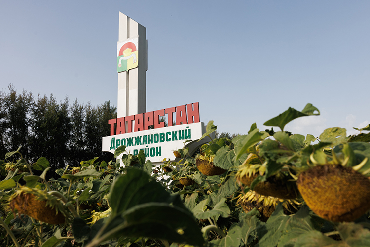 Абсолютный антилидер по зарплатам — Дрожжановский район. Здесь платят в среднем 59,4 тыс. рублей
