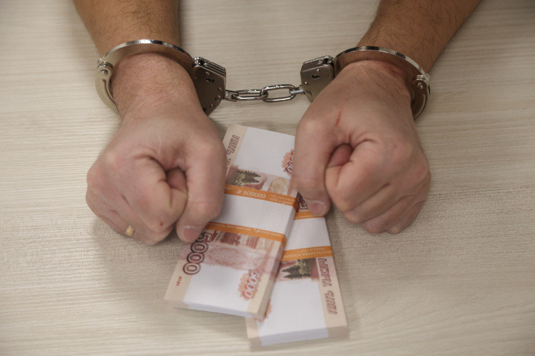Светлана Холмогорова предложила ужесточить уголовную ответственность для мошенников в строительной сфере