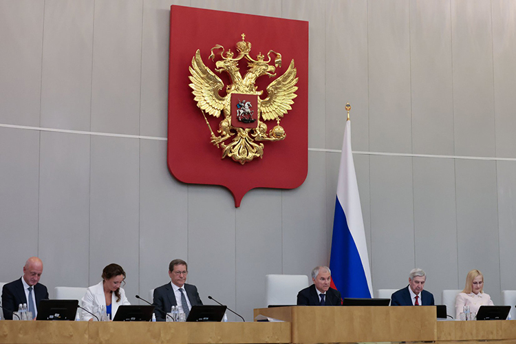 В Госдуме рамочный законопроект, цель которого — ликбез и передача полномочий минцифры РФ, был принят в первом чтении