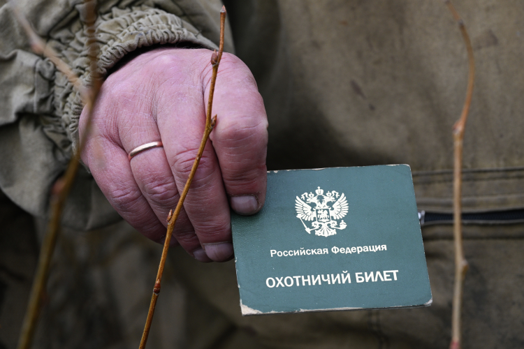 Общедоступные угодья — самый бюджетный вариант для человека с охотбилетом. Путевка туда стоит 600–650 рублей