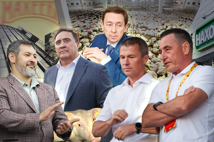 Барышев & Махеев, Фардиев и Галяутдинов: кому принадлежит Тукаевский район?