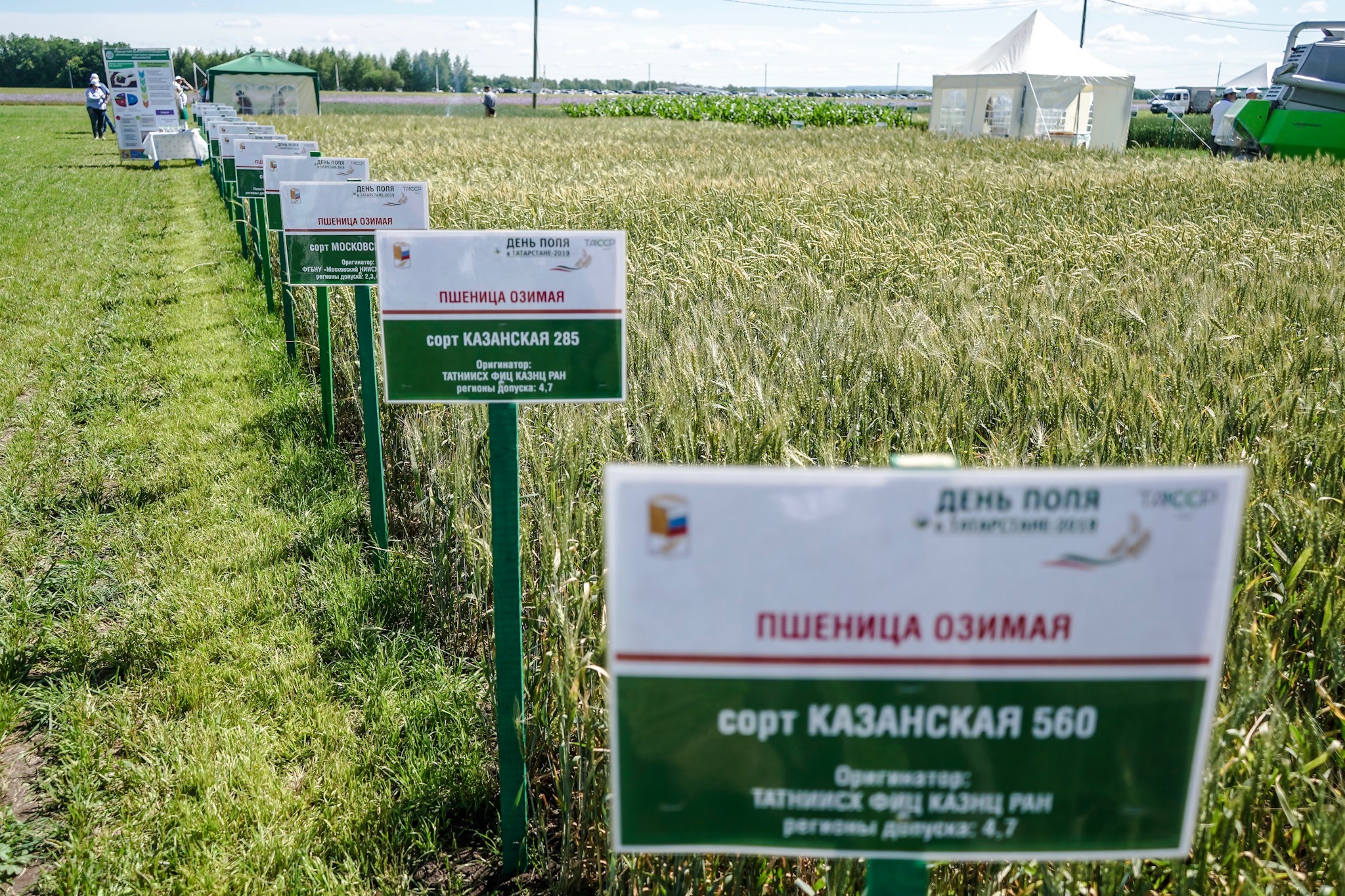 Приглашение на день поля образец