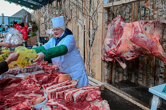 В Татарстане свыше 1200 КФХ и ИП, работающих в сельском хозяйстве, вполне могли бы производить органическую продукцию