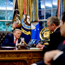 Трамп анонсировал скорый звонок Путину и визит европейских лидеров в США