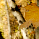 Завтра в Татарстане обещают ветер до 13 м/с и дождь
