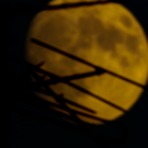 Татарстанцы в ноябре смогут увидеть «бобровую луну»