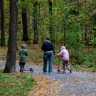 В Татарстане установят сумму, которую будут получать опекуны с педагогическим или медобразованием