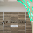 Станцию метро «Дубравная» закроют до 25 ноября