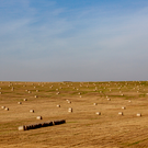 Аграрии смогут задать вопросы минсельхозу РТ на сайте «БИЗНЕС Online»