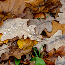 В субботу в Татарстане прогнозируют до минус 2 градусов и дождь