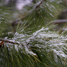 Профессор-климатолог заявил, что зима в Казани в этом году придет позже обычного