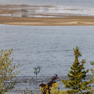 Эксперт РАН ответил, будут ли исследовать воду в Волге на содержание микропластика