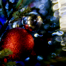 В Нижнекамске начали подготовку к Новому году – там впервые проведут общегородское празднование