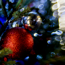 В Нижнекамске начали подготовку к Новому году – там впервые проведут общегородское празднование