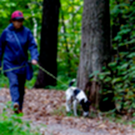 Росстандарт утвердил требования к обустройству мест для выгула собак – документ разработали в Татарстане