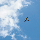 Над регионами России ночью сбили 216 БПЛА – в Новороссийске повреждена нефтебаза