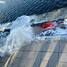 В Гольяновском пруду на востоке Москвы нашли останки ребенка