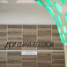 В Казани досрочно откроют станцию метро «Дубравная»