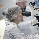 В Татарстане изобрели способ лечить инфицированные переломы – аналогов в России нет