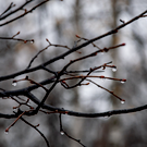 В Татарстане завтра похолодает до минус 2 и пойдет мокрый снег