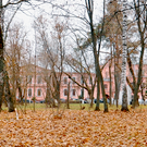 ВООПИиК выступило за ограничение застройки на Ферме-2 в Казани