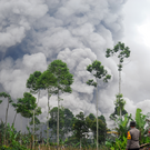 В Эфиопии зафиксировали первое за 10 тысяч лет извержение вулкана Хайли Губби (видео)