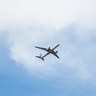 В Росавиации прогнозируют, что число авиакомпаний в РФ снизится «само собой»