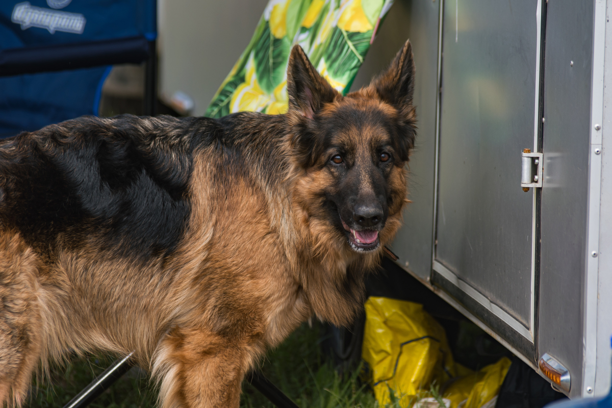 Архивное фото