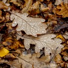 Гололед и до плюс 5 градусов: татарстанцам дали прогноз погоды на субботу