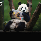 Проведите новогодний отпуск за границей с картой UnionPay от Россельхозбанка