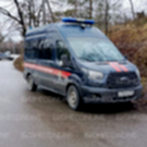 В Васильево отловили часть собак, напавших на 9-летнюю девочку