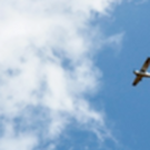 Российские силы ПВО за ночь сбили 33 БПЛА – в Ростове сотни домов остались без тепла, на Кубани поврежден нефтепровод