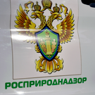 Татарстанская компания причинила ущерб природе на 2,4 миллиарда рублей из-за мошенничества с утилизацией отходов