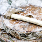 Минлесхоз РТ: Незаконной вырубкой леса занимаются в основном простые граждане