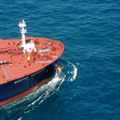 Компания Besiktas Shipping прекратила операции с Россией после атаки на свое судно у Сенегала