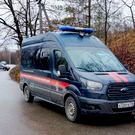 После нападения собак на девочку в Васильево задержали главу и сотрудника фонда «Кот и Пес»