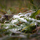 В Татарстане завтра похолодает до минус 11 и пойдет снег с дождем