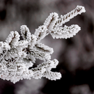 В Татарстане завтра похолодает до минус 19 градусов, но в пятницу вернется плюсовая температура