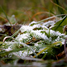 Метеоролог назвал бесснежье в Татарстане серьезной аномалией – такой погоды не было с 1996 года