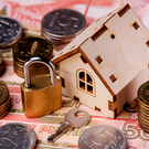 Госдума запретила изымать у многодетных семей участки и авто за долги