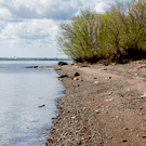 «В зоне риска»: в Госдуме назвали проект «Оздоровление Волги» одним из наиболее проблемных в РФ