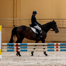 Госэкспертиза одобрила проект казанского конноспортивного комплекса в Мирном. Его оценивали почти в 900 миллионов