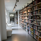 «Релокант», «пюрешка» и «драконоборец»: в словарь русского языка добавили 264 слова