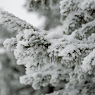 Татарстанцам завтра обещают до минус 23 градусов