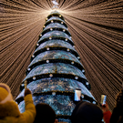 У «Чаши» в Казани открыли главную елку: яркие кадры