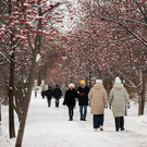 Татарстанцам обещают потепление в последнюю неделю года