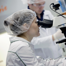 В Казани ученые первыми в мире нашли грибы, способные перерабатывать производственный яд