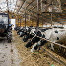 «Аммоний-2» и ОЭЗ «Зеленая долина»: в РТ утвердили перечень приоритетных инвестпроектов на 2026 год